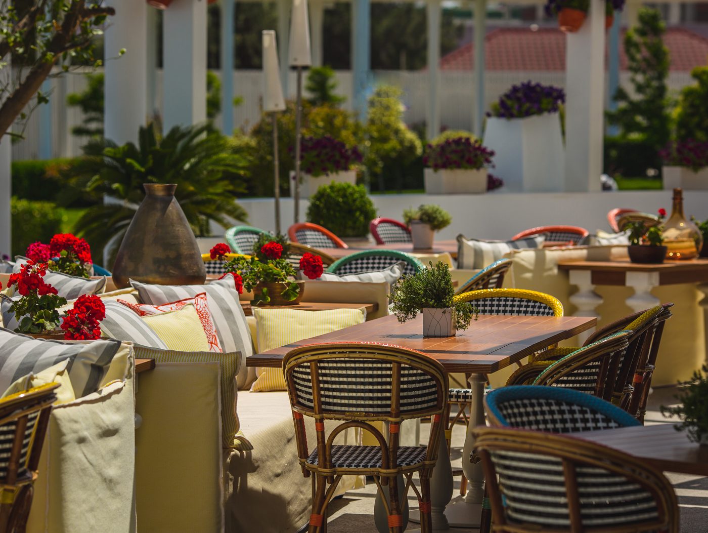 Terraza